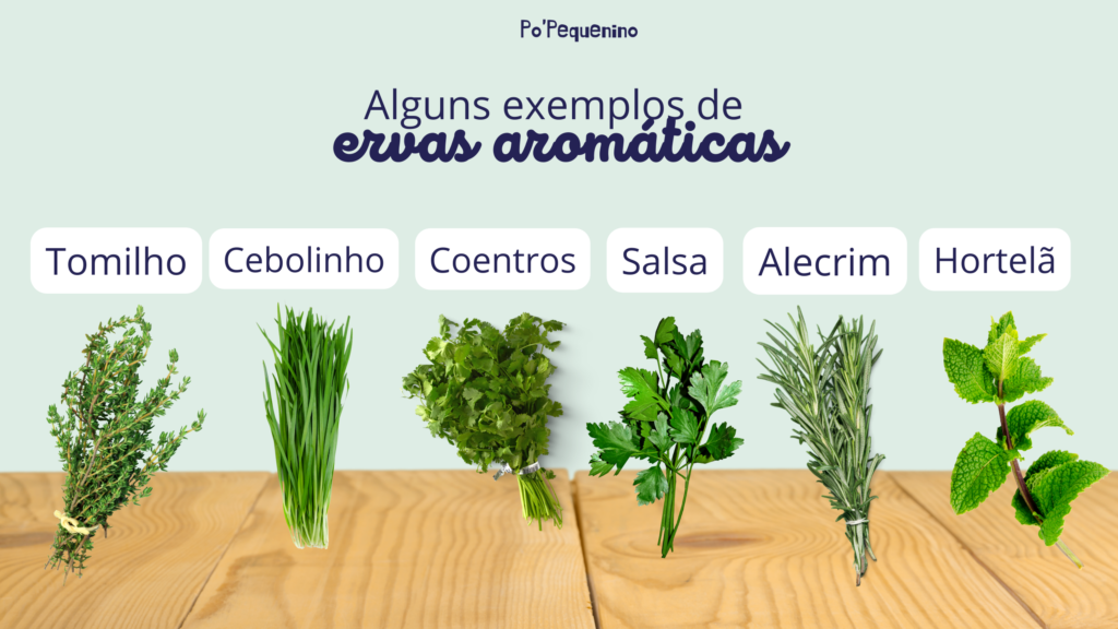 exemplos de ervas aromáticas