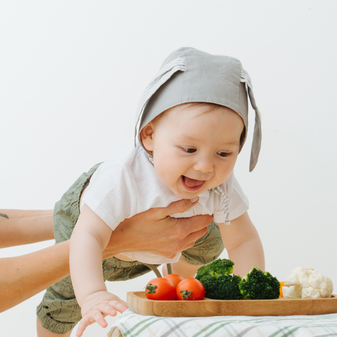 Introdução Alimentar - Como começar?