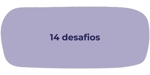 14 desafios